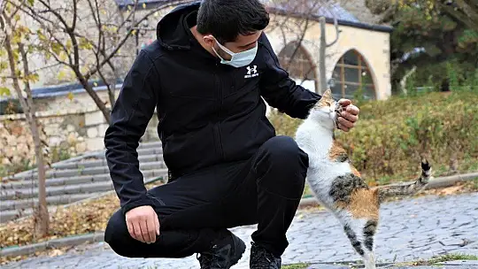 Sokağa çıkma kısıtlamasında sokak hayvanları unutulmadı