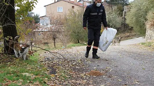 Sokağa çıkma kısıtlamasında sokak hayvanları unutulmadı