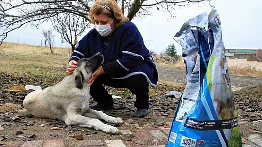 Sokağa çıkma kısıtlamasında sokak hayvanları unutulmadı