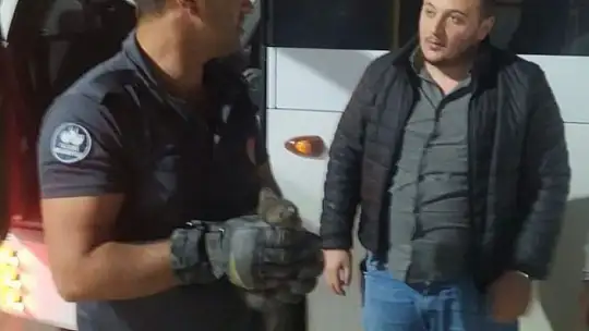 Sürücü fark etti, aracın motor kısmında mahsur kalan kedi kurtarıldı