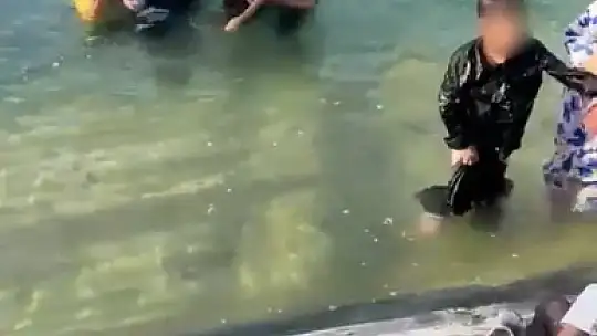 Havuza Düşen Çocukların Yardımına Yunus'lar Yetişti