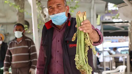 Tam bir şifa deposu, 'doğunun muzu' ışkın tezgahlarda yerini aldı