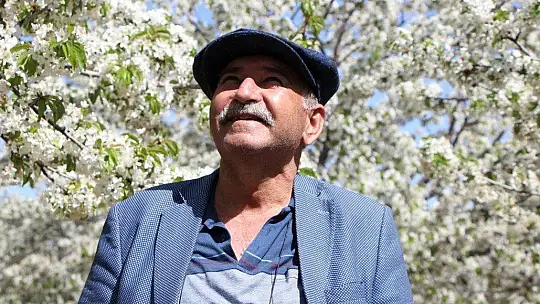 Tarihi Harput Mahallesi kiraz çiçekleriyle beyaza büründü
