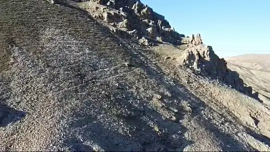 Palu Kalesi civarında gezen dağ keçileri dron ile görüntülendi