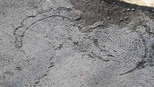 Tarlada 84 metrekarelik alanda keşif: Önce Roma dönemine ait mozaik, ardından duvarlar ortaya çıktı