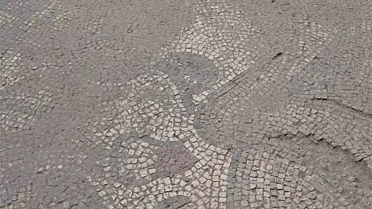 Tarlada çiftçinin bulduğu tarihi taban mozaikler gün yüzüne çıkarılıyor
