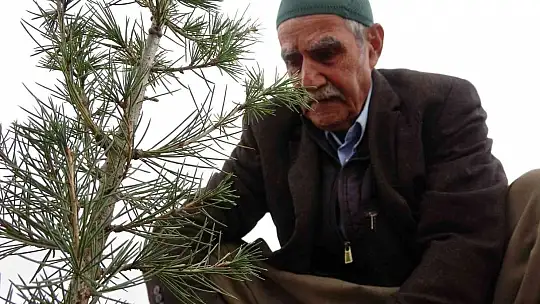 Taşlık araziyi ormana çevirmişti: Yetkililer teşekkür edip fidan desteğinde bulundu