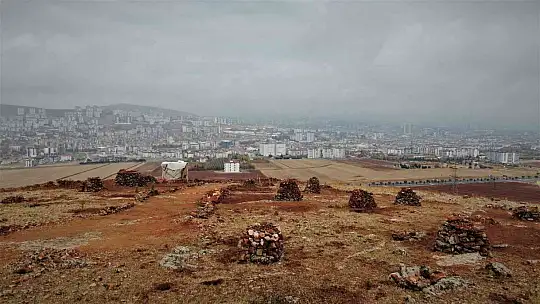 Taşlık araziyi ormana çevirmişti: Yetkililer teşekkür edip fidan desteğinde bulundu