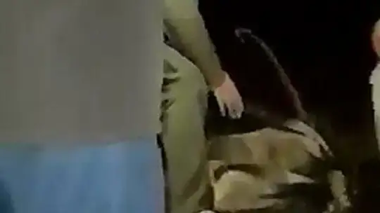 Tel örgülere takılan dağ keçisi