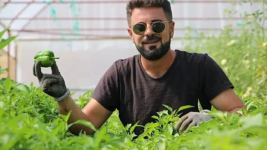 Tescilli 'Keban biberi' işini büyüttü, verimi arttırıp ihracata başladı