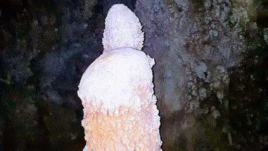 Tescilli Gümüşkaya Mağarası'ndan müjdeli haber
