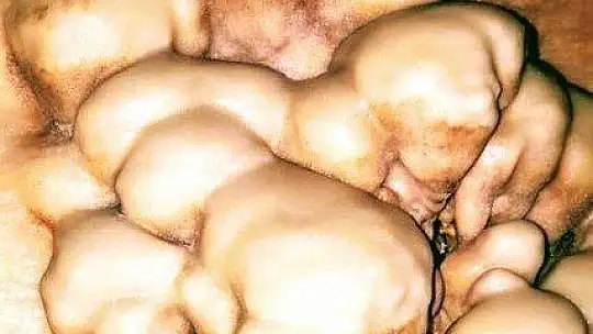 Tescilli Gümüşkaya Mağarası'ndan müjdeli haber