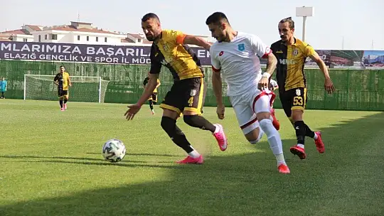 TFF 3. Lig: Elazığ Karakoçan: 2 - Arhavispor: 1