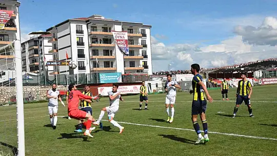 TFF 3. Lig: Elazığspor: 1 - Fatsa Belediyespor: 0