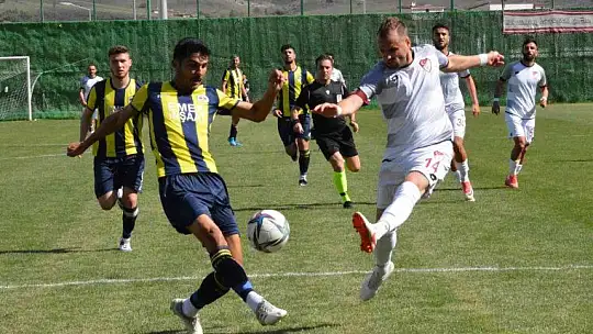 TFF 3. Lig: Elazığspor: 1 - Fatsa Belediyespor: 0
