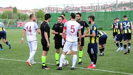 TFF 3. Lig: Elazığspor: 1 - Fatsa Belediyespor: 0
