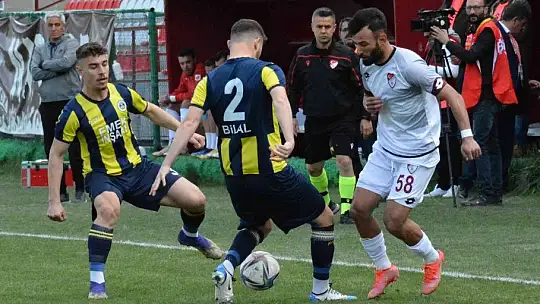 TFF 3. Lig: Elazığspor: 1 - Fatsa Belediyespor: 0