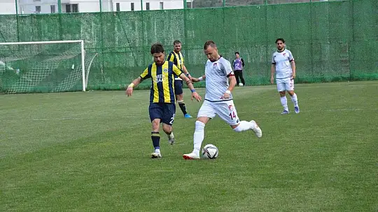 TFF 3. Lig: Elazığspor: 1 - Fatsa Belediyespor: 0