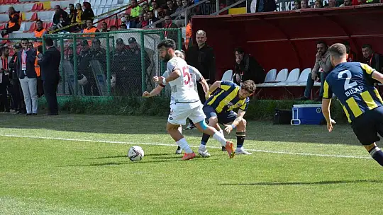 TFF 3. Lig: Elazığspor: 1 - Fatsa Belediyespor: 0