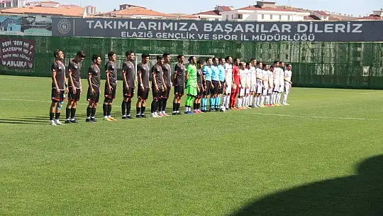 TFF 3. Lig: Elazığspor: 2 - Artvin Hopaspor: 2