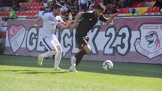 TFF 3. Lig: Elazığspor: 2 - Artvin Hopaspor: 2