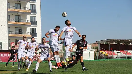 TFF 3. Lig: Elazığspor: 2 - Artvin Hopaspor: 2