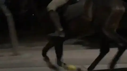 Trafikte atla yarıştı, araç sürücüsü ise spiker gibi anlattı
