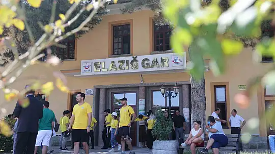 Turistik Tatvan treni Elazığ'da