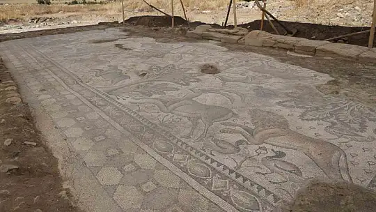 Türkiye'de bir ilk: Tek parça halinde 84 metrekarelik mozaik gün yüzüne çıkarıldı
