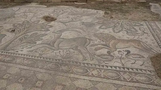 Türkiye'de bir ilk: Tek parça halinde 84 metrekarelik mozaik gün yüzüne çıkarıldı