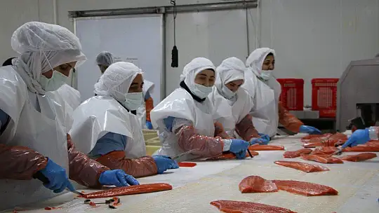 Türkiye'nin üretim merkezi Elazığ'dan dünyaya Türk Somonu