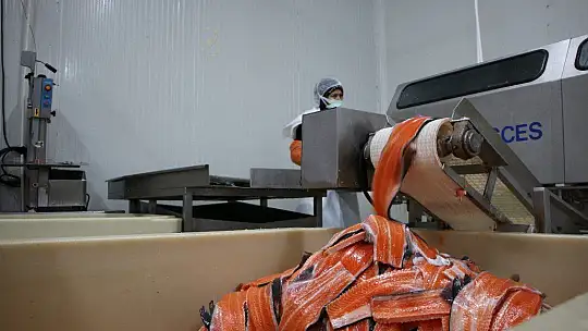 Türkiye'nin üretim merkezi Elazığ'dan dünyaya Türk Somonu