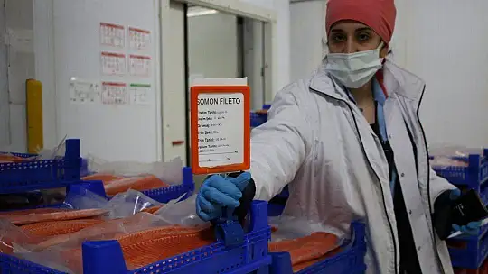 Türkiye'nin üretim merkezi Elazığ'dan dünyaya Türk Somonu