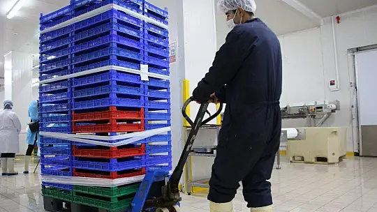 Türkiye'nin üretim merkezi Elazığ'dan dünyaya Türk Somonu