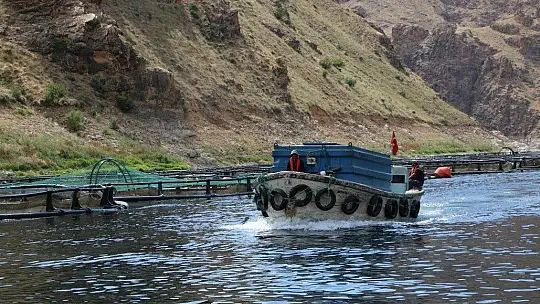 Türkiye'nin üretim merkezi Elazığ'dan dünyaya Türk Somonu