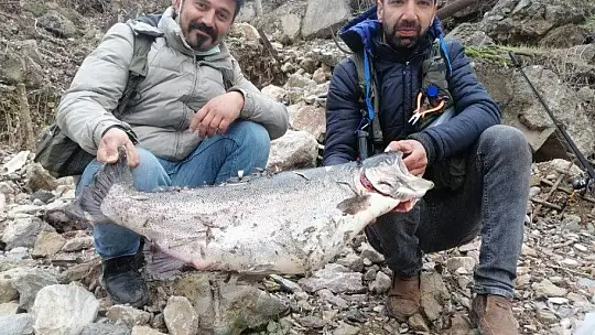 Türkiye ve Avrupa'nın en büyük alabalığı Elazığ'da olta ile yakalandı, tam 115 santim