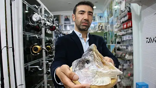 Türkiye ve Avrupa'nın en büyük alabalığı Elazığ'da olta ile yakalandı, tam 115 santim