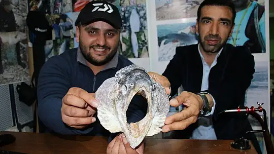 Türkiye ve Avrupa'nın en büyük alabalığı Elazığ'da olta ile yakalandı, tam 115 santim