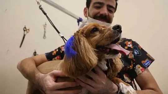 Tüy ve tırnak bakımında bölgenin en şirin merkezi: Bu kuaförde sadece köpekler tıraş oluyor