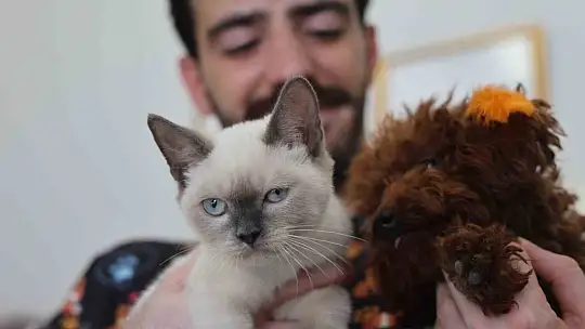 Tüy ve tırnak bakımında bölgenin en şirin merkezi: Bu kuaförde sadece köpekler tıraş oluyor