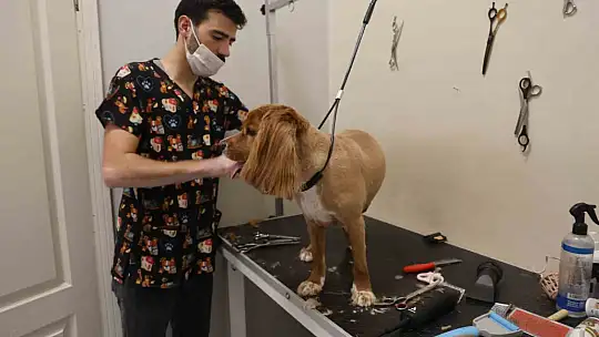 Tüy ve tırnak bakımında bölgenin en şirin merkezi: Bu kuaförde sadece köpekler tıraş oluyor