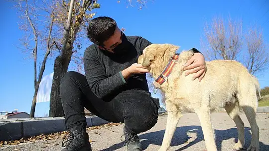 Üniversite öğrencilerinden, 'Mama kumbarası' ile sokak hayvanlarına destek