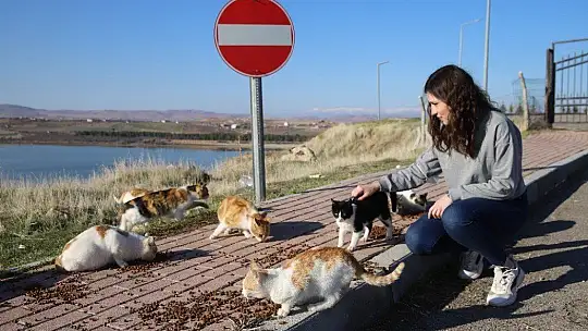 Üniversite öğrencilerinden, 'Mama kumbarası' ile sokak hayvanlarına destek
