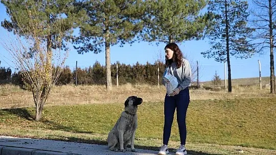 Üniversite öğrencilerinden, 'Mama kumbarası' ile sokak hayvanlarına destek