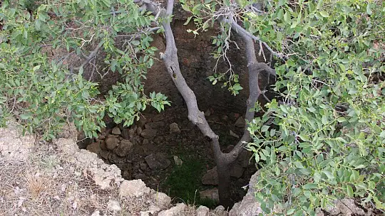 Urartular dönemine ait Tanrıverdi Kalesi ilk günkü ihtişamını koruyor