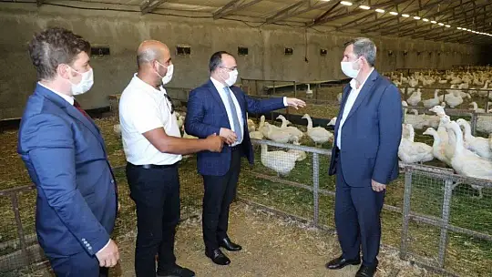Vali Yırık, Kovancılar ilçesinde incelemelerde bulundu