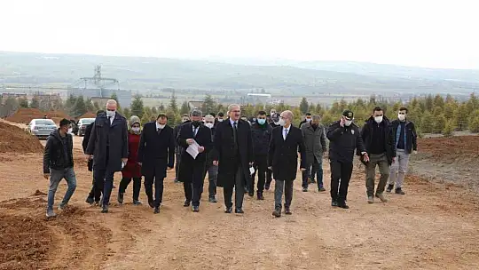 Valilik zarar gören ağaçlar için kayıtsız kalmadı, inşaat çalışmaları durduruldu