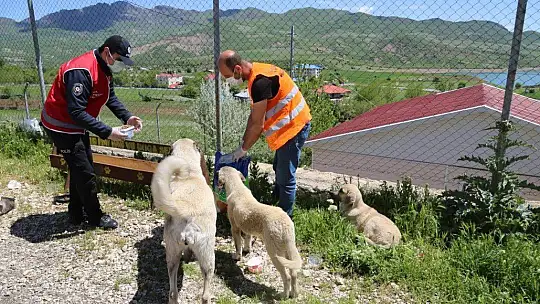 Vefa ekibi, can dostları unutmadı