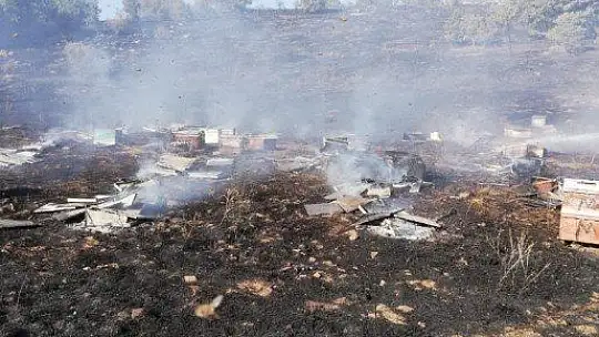 Yangında 830 adet kovan kül oldu