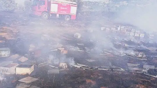Yangında 830 adet kovan kül oldu
